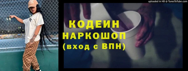 гашик Корсаков