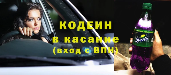 гашик Корсаков