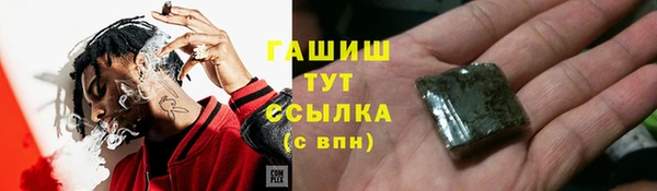 гашик Корсаков