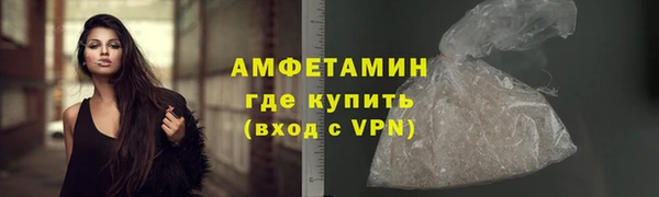 гашик Корсаков