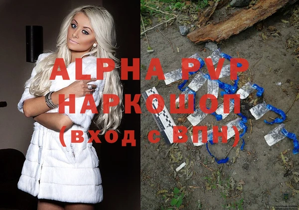 гашик Корсаков