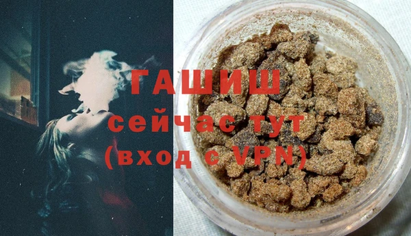 гашик Корсаков