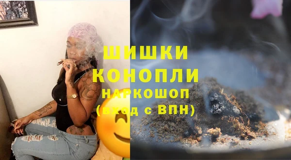 гашик Корсаков