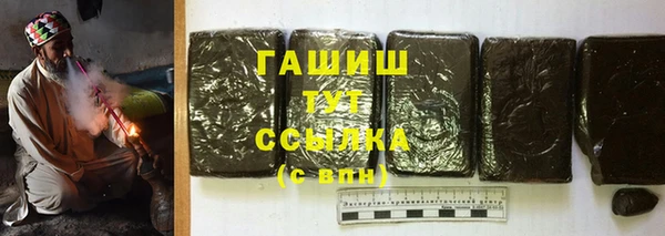 гашик Корсаков