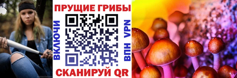 Псилоцибиновые грибы ЛСД  Купить закладки  Фрязино 